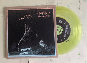 c4. 'Birdwatching' (7" vinyl) • exclusive (pink/blue + neon yellow vinyl)