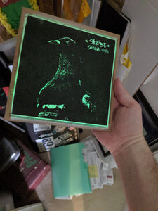 a1. 'Birdwatching' (7" vinyl) • exclusive (glo-in-the-dark)