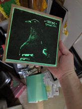a8. 'Birdwatching' (7" vinyl) • exclusive (green/blue w marbled orange vinyl)